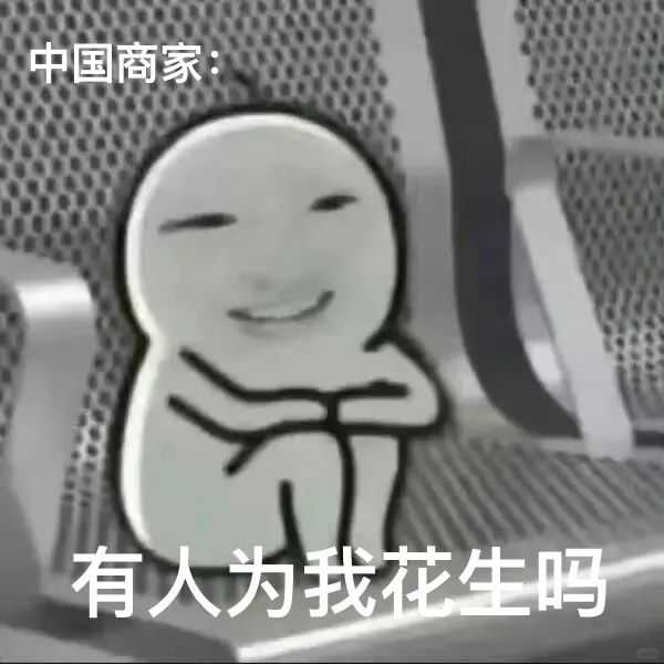 MAGA让阿里再次伟大？热度过后，谁为商家们发声