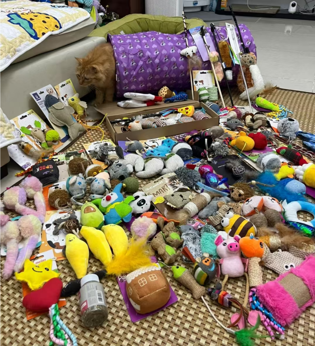 这款猫玩具“要上天”,现已登顶TikTok类目榜首!