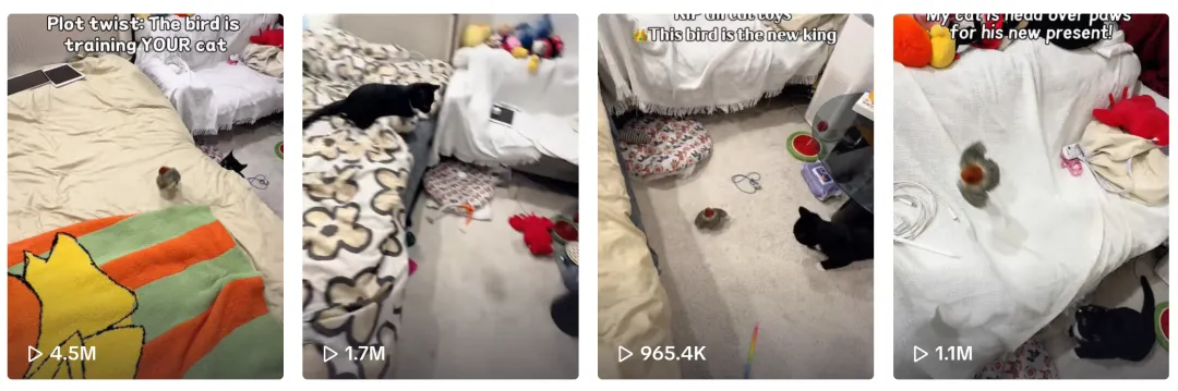 7天销量飙升190%，TikTok宠物赛道大爆！