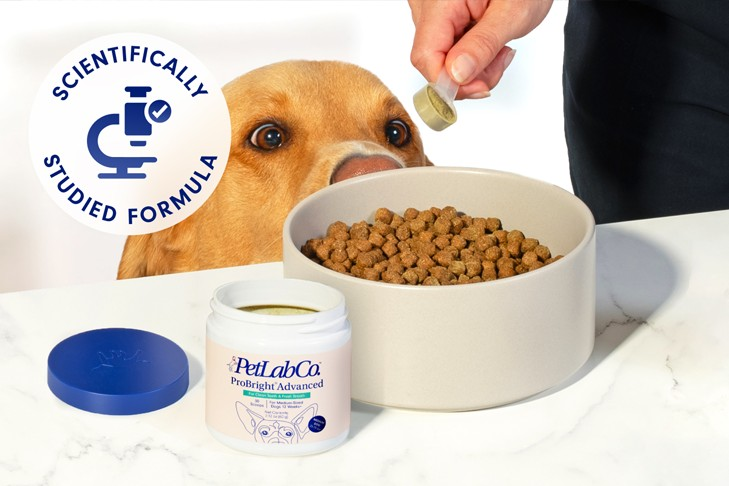 狂卖1万+单，冷门洁牙神器爆火，席卷海外宠物市场