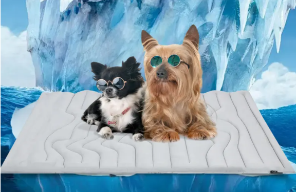 关税跳水后,这些赛道的TikTok卖家准备爆单!