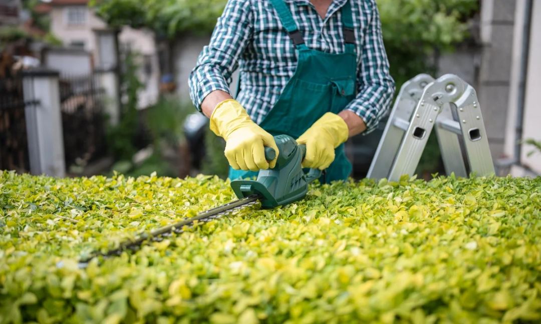 热度飙升4250%,个性化改造催生俄罗斯千亿级DIY市场