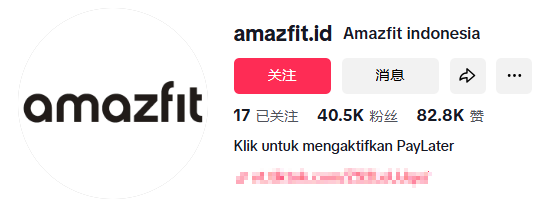 不甘只做小米的代工厂,这个品牌出海“闯”出了5亿年收!
