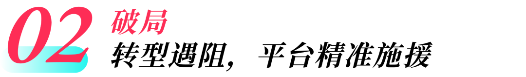 破局东南亚：国内多类目大卖又杀出“黑马”！